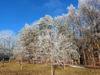 Lichtmesswanderung rund um Rohr